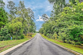0 Kelsey Glen Dr Unit 613064, Lexington, SC 29072