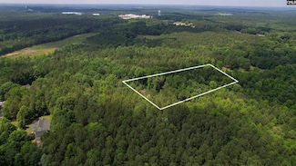 100 Bishop Ln, Prosperity, SC 29127