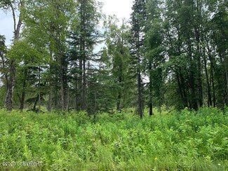 L10 B6 Mark Blvd, Nikiski, AK 99611