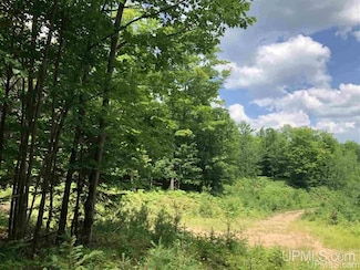 TBD Maple Hills Dr & Maple Wood Rd St, Gwinn, MI 49841