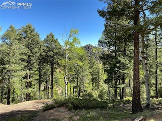 210 Waterfall Loop, Manitou Springs, CO 80829