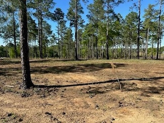 4817 Carpenter Rd, Tifton, GA 31793