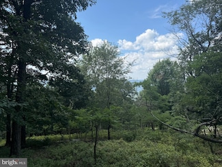 0 Fire Tower Rd, Great Cacapon, WV 25422