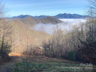 000 English Setter Trail Unit 9, Whittier, NC 28789