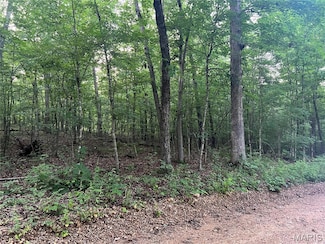 00 Black River Retreat #3, Piedmont, MO 63957