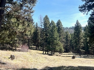990 Elkhorn Rd, Seeley Lake, MT 59823