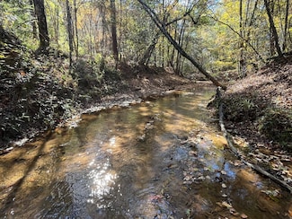 Henry Co Rd 46, Shorterville, AL 36373