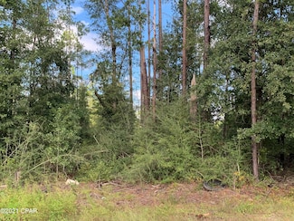 000 Pinecrest Rd, Fountain, FL 32438