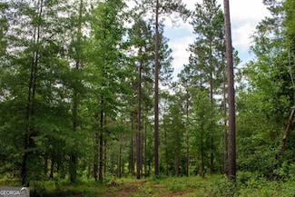 139 Overlook Dr, Eatonton, GA 31024