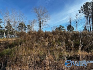 Lot 226 Woodmont Dr, Cherokee Ridge, AL 35175
