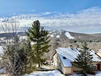 15 Mountain Village Unit 234, West Dover, VT 05356