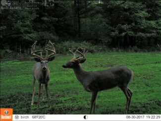 0 Birch St, Stevens Point, WI 54481
