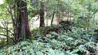 0 Timberline Point Dr, Packwood, WA 98361