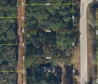 Lot 19 Reaves Ave, Interlachen, FL 32148
