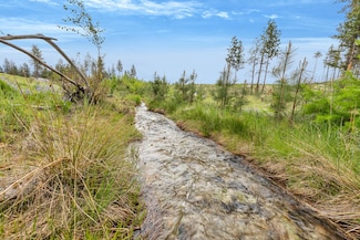 Lot 11 Roaring Lion Rd, Hamilton, MT 59840