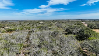 County Road 124, Kenedy, TX 78119