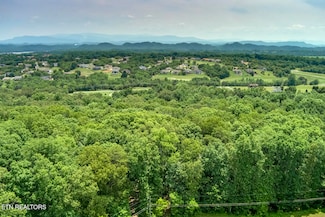 419 Mountain View Dr, Vonore, TN 37885