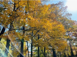 Lot# 35 Sontag Ln, Mantua, OH 44255