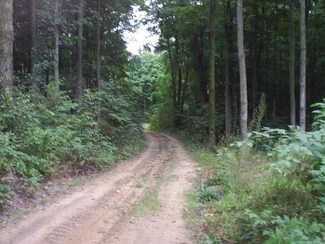7201 Raspberry Ln Unit 11, Elmira, MI 49730
