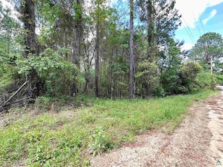 141 Wilson Woodard Rd, Eastman, GA 31023