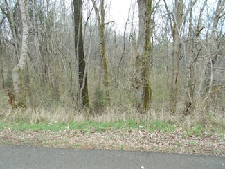 0 Bobbitt Rd, Ashland City, TN 37015
