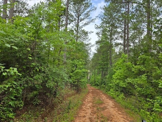 Swamp Hollow, Dadeville, AL 36853