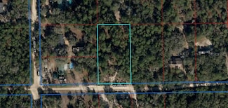 0 NE 75th St Unit MFRTB8393387, Bronson, FL 32621