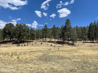 0 County Road N2275, Nutrioso, AZ 85932
