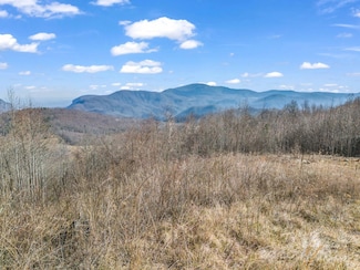 1229 Grand Oaks Dr, Hendersonville, NC 28792