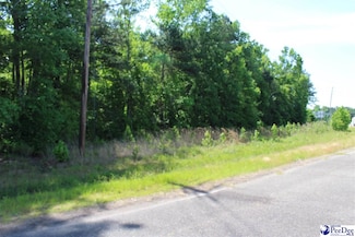 Lot Galveston Ct, Marion, SC 29571