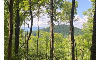TR 8 Deer Cove Ln, Cherry Log, GA 30522