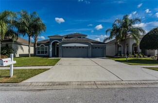 18208 Cypress Haven Dr, Tampa, FL 33647