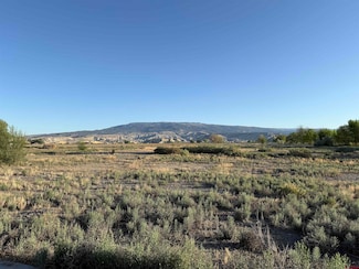 1475 and Tbd Highway 50, Delta, CO 81416