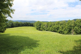 2402 Jacox Rd, Hillsboro, WV 24946