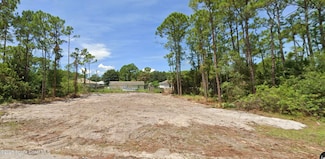 436 Iroquois Ave NW, Palm Bay, FL 32907