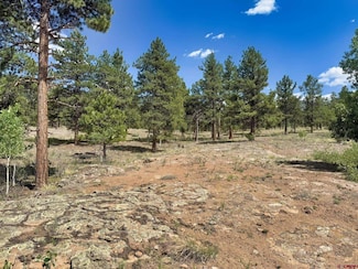 22 Church Creek Cir, South Fork, CO 81154