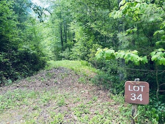 Lot 34 Grouse Haven Ln, Sylva, NC 28779