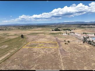 105 S Place, Norwood, CO 81423