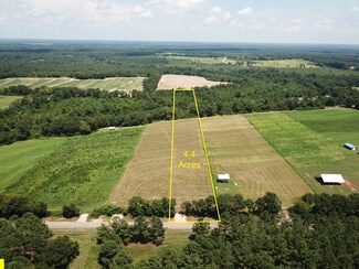 4.4 Acres Pea Market Rd, Columbia, AL 36319