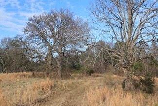 1365 Clanton Rd, Coldwater, MS 38618