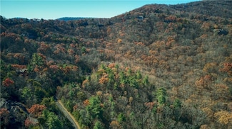 5566 Red Fox Ln, Big Canoe, GA 30143