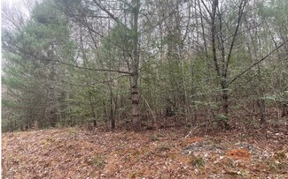 0 Brackett Creek Ln Unit 315226, Blairsville, GA 30512