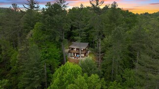 205 Mountain View Dr, Cherry Log, GA 30522