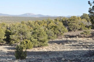 20 3044, Concho, AZ 85924