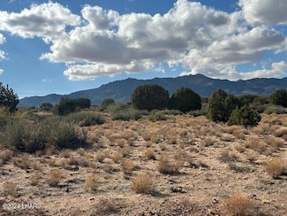 000 Running Brook, Hackberry, AZ 86411