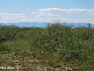 TBD 40 Acr E Sunrise Dr Unit A, Pearce, AZ 85625