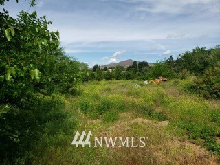 2141 /2 W Peters St, Wenatchee, WA 98801