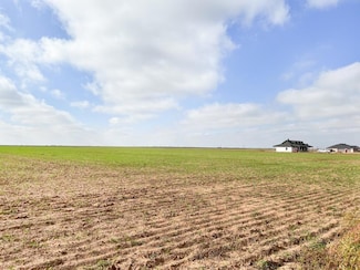 2225 Fm 597, Abernathy, TX 79311