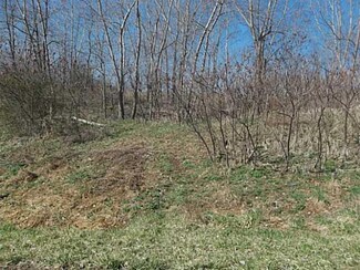 Lot #3 Rabbit Run, East Bloomfield, NY 14469