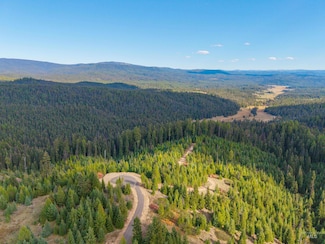 TBD Parcel 8 Tree Farm Trails Rd, Elk City, ID 83525